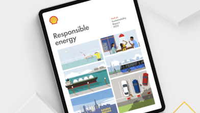 Sustainability reports