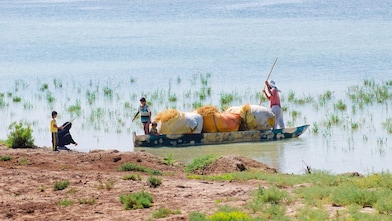 Irakiens traversant le marais d'Hawizeh, à proximité du projet pétrolier de Majnoun, en Irak