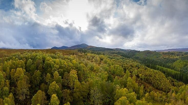 Nouvelles énergies pour professionnels