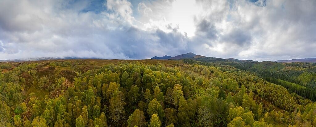 Nouvelles énergies pour professionnels