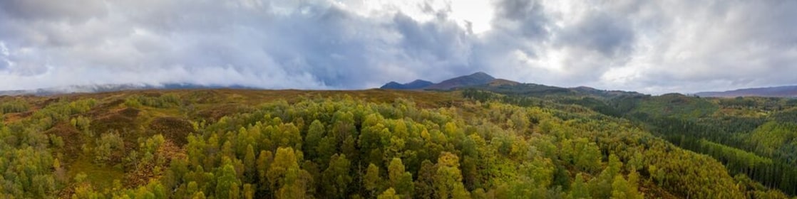 Nouvelles énergies pour professionnels