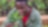 Man planting tree sapling